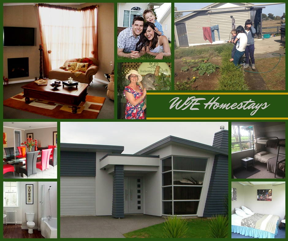 Homestay accommodation experience